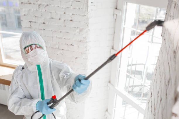 Mold Remediation for Rental Properties in Gumlog, GA